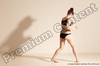 thaibox reference 02 13